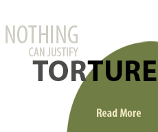 Torture: Asian and Global Perspectives